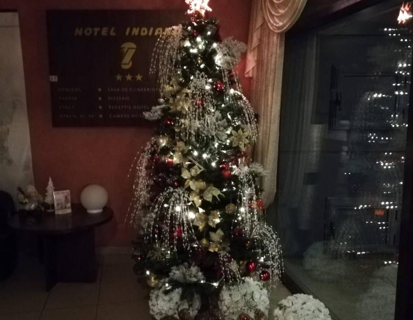 Imagen general del Hotel Indiana, Iasi. Foto 3