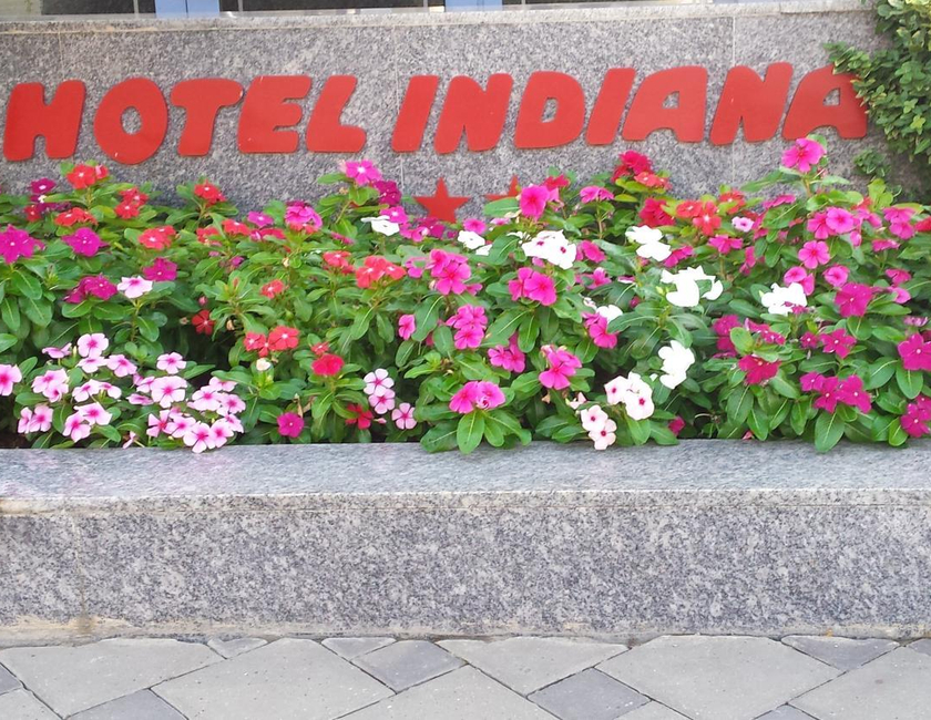 Imagen general del Hotel Indiana, Iasi. Foto 6