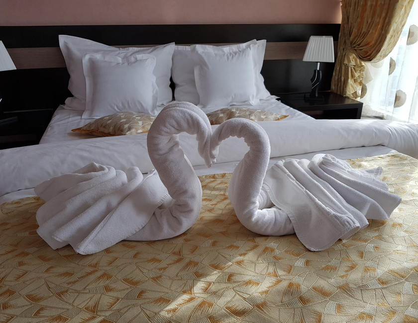 Imagen general del Hotel Indiana, Iasi. Foto 8