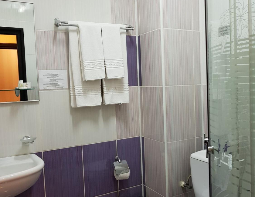 Imagen general del Hotel Indiana, Iasi. Foto 24