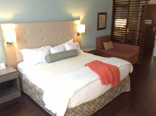 Imagen de la habitación del Hotel Indigo Athens - University Area. Foto 7