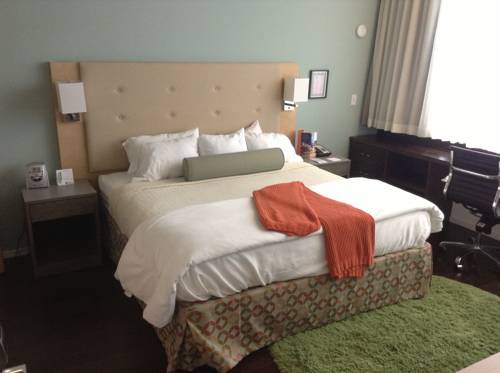 Imagen de la habitación del Hotel Indigo Athens - University Area. Foto 9