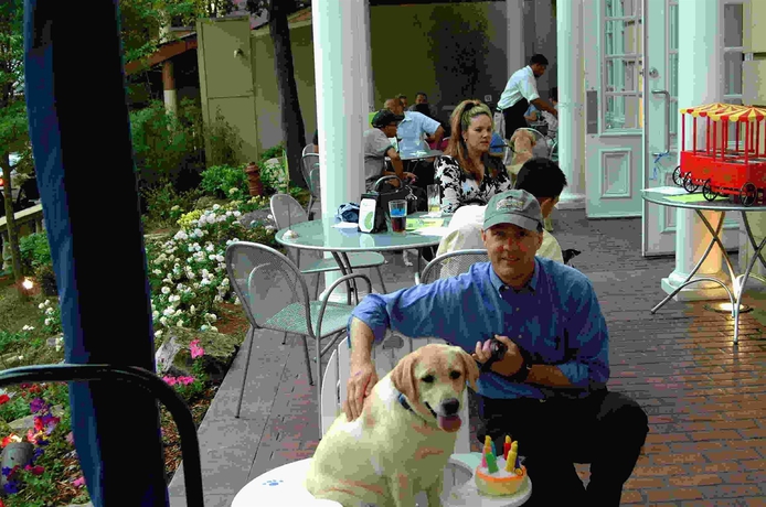 Imagen del bar/restaurante del Hotel Indigo Atlanta Midtown, An Ihg. Foto 6