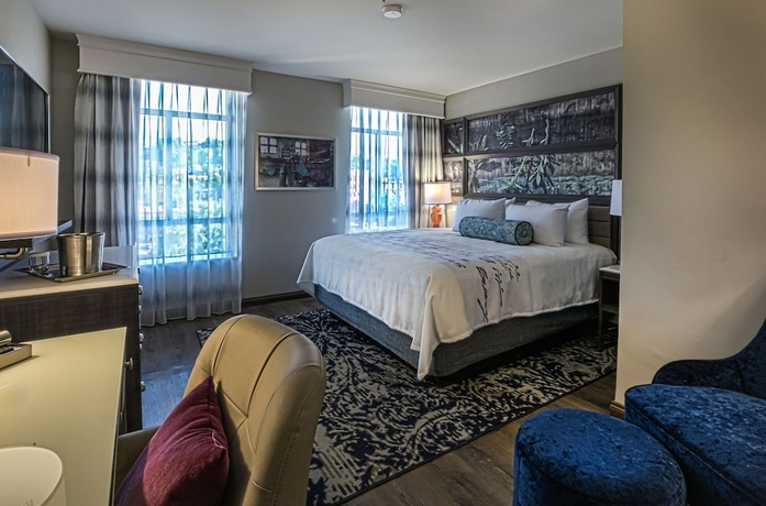 Imagen de la habitación del Hotel Indigo Birmingham Five Points S - Uab, An Ihg. Foto 9