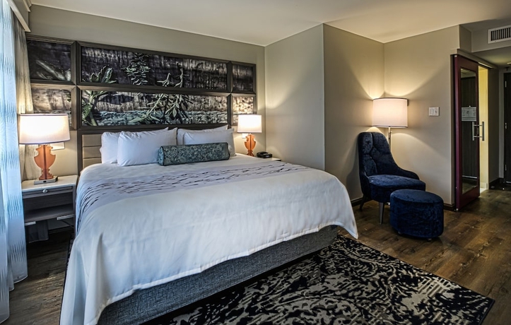 Imagen de la habitación del Hotel Indigo Birmingham Five Points S - Uab, An Ihg. Foto 10