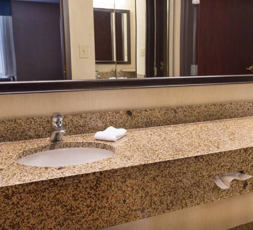 Imagen de la habitación del Hotel Indigo Detroit North - Troy by IHG. Foto 8