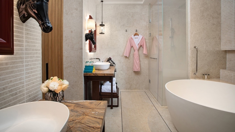 Imagen de la habitación del Hotel Indigo Diqing Moonlight City. Foto 7