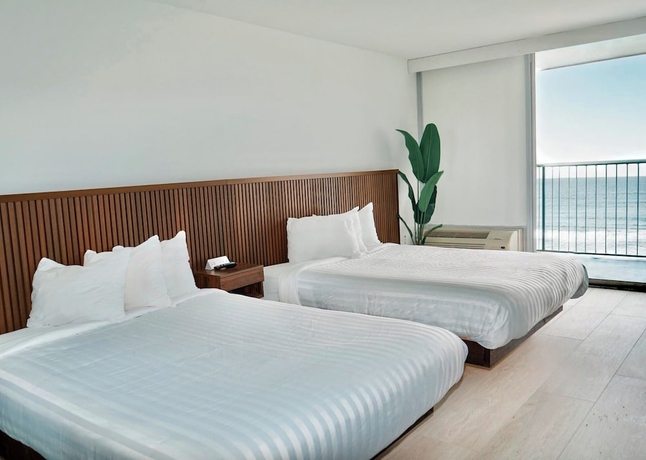 Imagen de la habitación del Hotel Indigo, Myrtle Beach. Foto 3