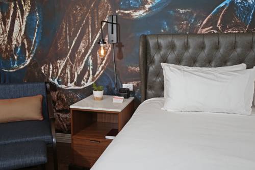 Imagen de la habitación del Hotel Indigo Naperville Riverwalk, An Ihg. Foto 2