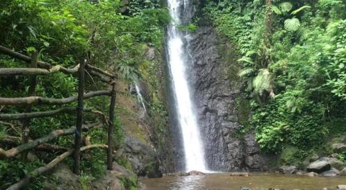 Imagen general del Hotel Indra Djaya. Foto 6