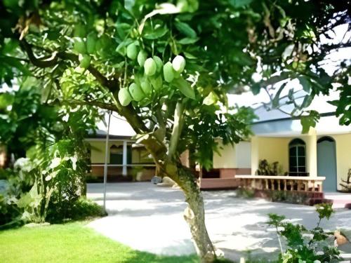 Imagen general del Hotel Indra Djaya. Foto 8