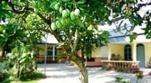 Imagen general del Hotel Indra Djaya. Foto 9