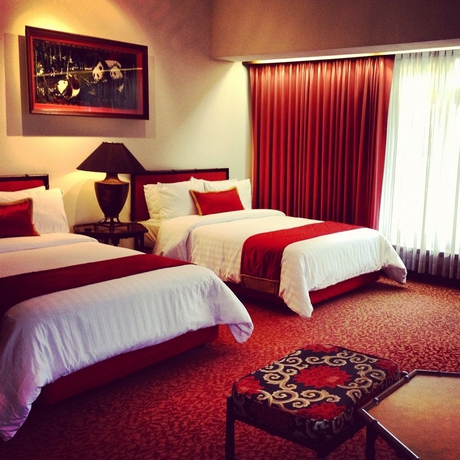 Imagen de la habitación del Hotel Indra Regent. Foto 11