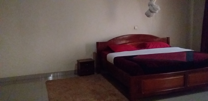 Imagen de la habitación del Hotel Inganzi Apartments. Foto 16