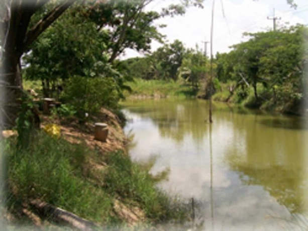 Imagen de los exteriores del Hotel Ingdao Resort. Foto 17