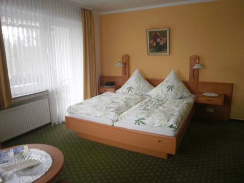 Imagen de la habitación del Hotel Ingeburg. Foto 10