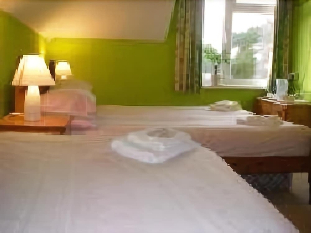 Imagen de la habitación del Hotel Ingledene Guest House. Foto 18