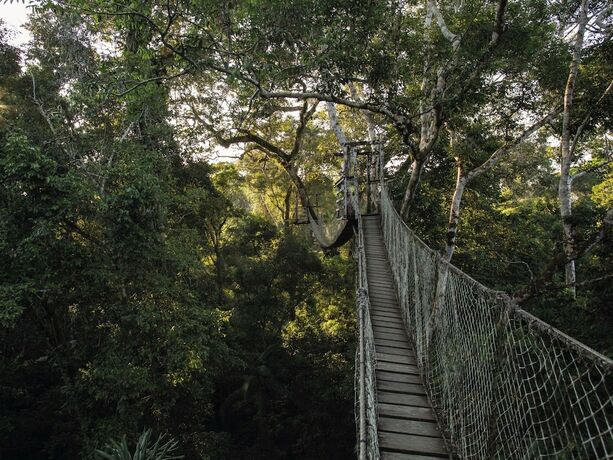 Imagen general del Hotel Inkaterra Reserva Amazonica. Foto 9