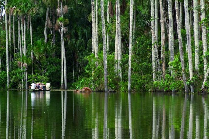 Imagen general del Hotel Inkaterra Reserva Amazonica, Las Piedras. Foto 5