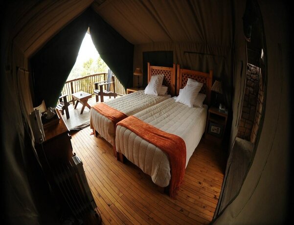 Imagen de la habitación del Hotel Inkwenkwezi Private Game Reserve. Foto 20