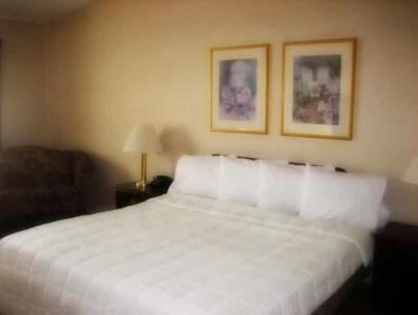 Imagen de la habitación del Hotel Inn At Arbor Ridge and Conference Center. Foto 4