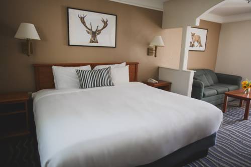 Imagen de la habitación del Hotel Inn At Mount Shasta. Foto 2