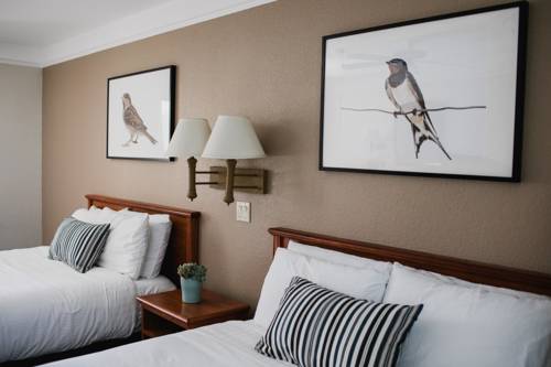 Imagen de la habitación del Hotel Inn At Mount Shasta. Foto 3