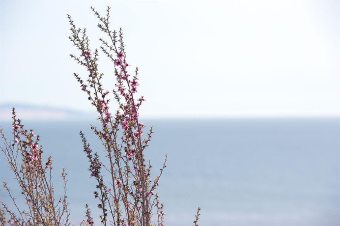 Imagen general del Hotel Inn At San Luis Obispo. Foto 10