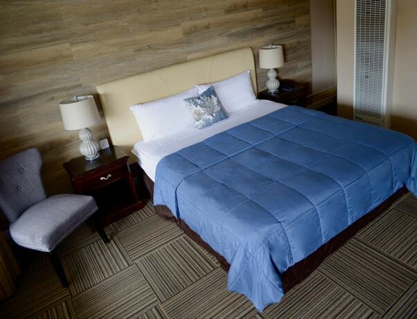 Imagen general del Hotel Inn By the Bay Monterey. Foto 12