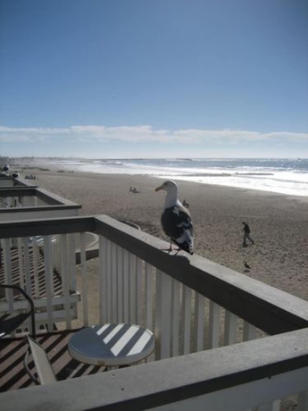 Imagen de la habitación del Hotel Inn On The Beach, Pierpont Bay. Foto 16