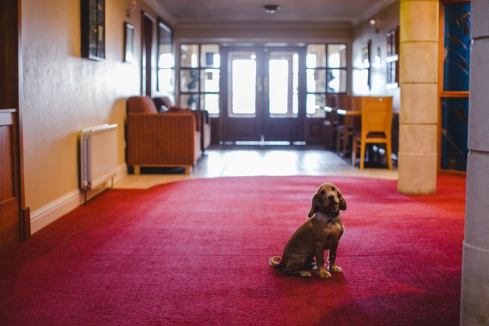 Imagen de los interiores del Hotel Inn On The Coast. Foto 9