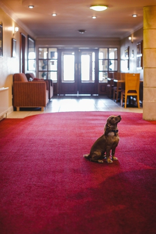 Imagen de los interiores del Hotel Inn On The Coast. Foto 11