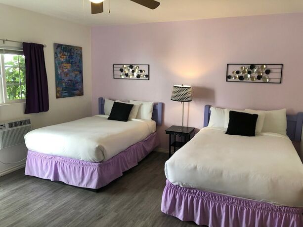Imagen general del Hotel Inn at Palm Springs. Foto 13