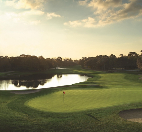 Imagen de los exteriores del Hotel Innisbrook Resort. Foto 9