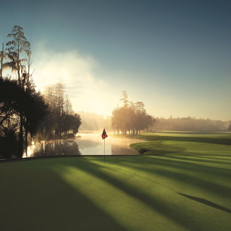 Imagen de los exteriores del Hotel Innisbrook Resort. Foto 11