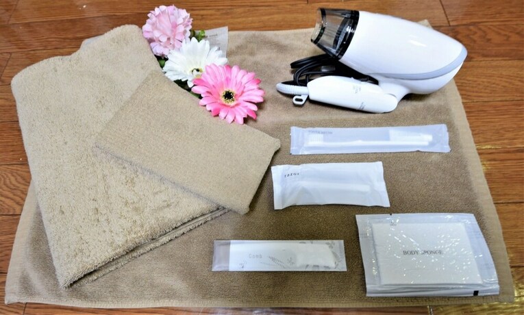 Imagen de la habitación del Hotel Inove Sapporo Nakajima Park. Foto 18