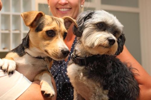 Imagen general del Hotel Inselhof Borkum. Foto 3