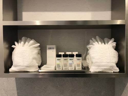 Imagen de la habitación del Hotel Insignia Brooklyn, Ascend Collection. Foto 8