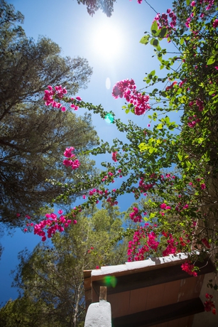 Imagen de los exteriores del Hotel Insotel Club Maryland - All Inclusive. Foto 8