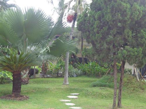 Imagen general del Hotel Insumo Palaces & Resorts. Foto 14