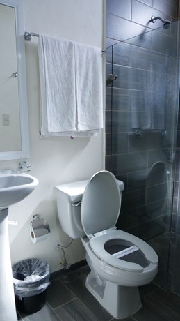 Imagen de la habitación del Hotel Insurgentes. Foto 6