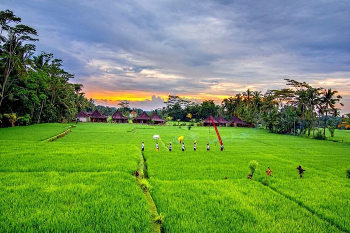 Imagen general del Hotel Intan Villa and Suite Ubud. Foto 1