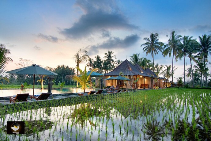 Imagen de la habitación del Hotel Intan Villa and Suite Ubud. Foto 7