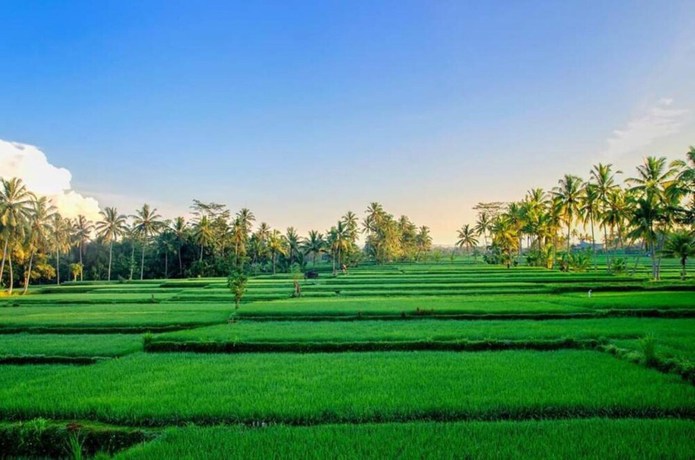 Imagen de los exteriores del Hotel Intan Villa and Suite Ubud. Foto 16