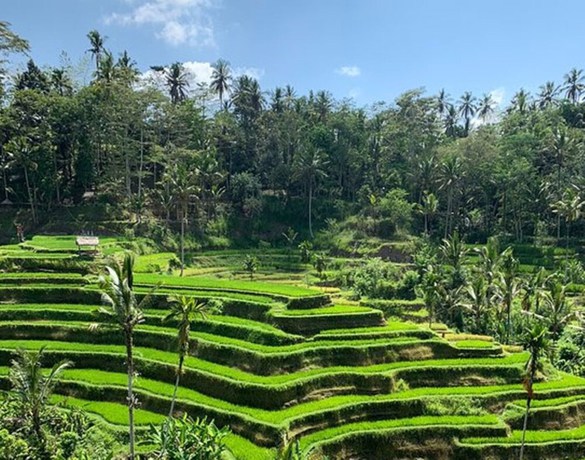 Imagen general del Hotel Intan Villa and Suite Ubud. Foto 2