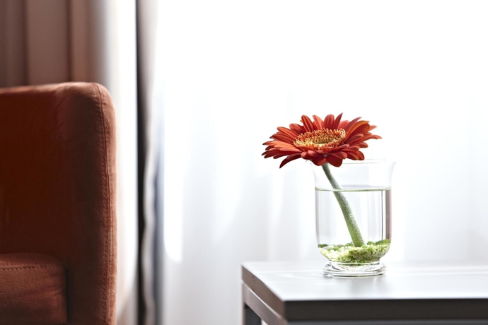 Imagen de los interiores del Hotel Intercity Berlin. Foto 15