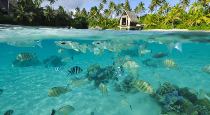 Imagen general del Hotel Intercontinental Bora Bora Resort and Thalasso Spa. Foto 16