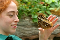 Imagen general del Hotel Intercontinental Cleveland, An Ihg. Foto 4