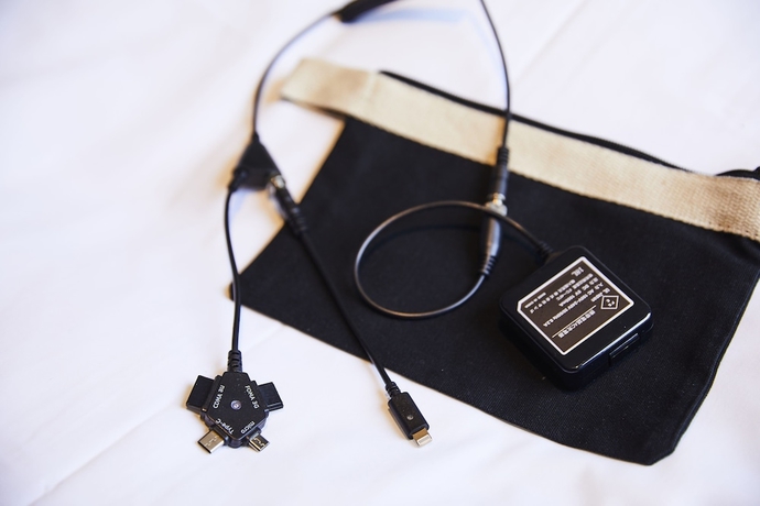 Imagen de la habitación del Hotel Intergate Kanazawa. Foto 5