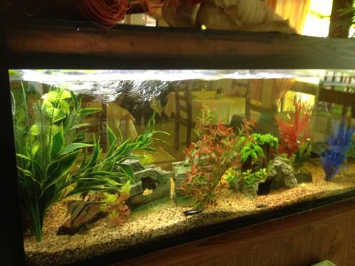 Imagen de la habitación del Hotel Interhotel Le Clos Des Tanneurs. Foto 13